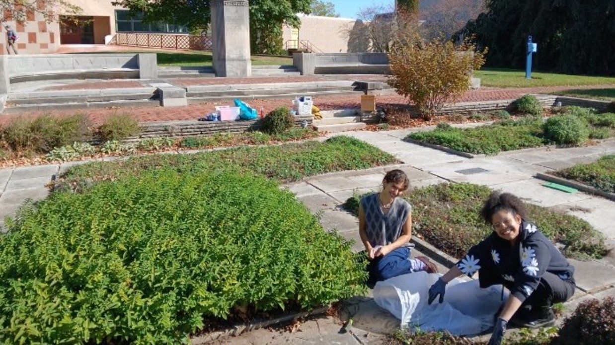 Students and staff weeding in front of the Venturi Art Building