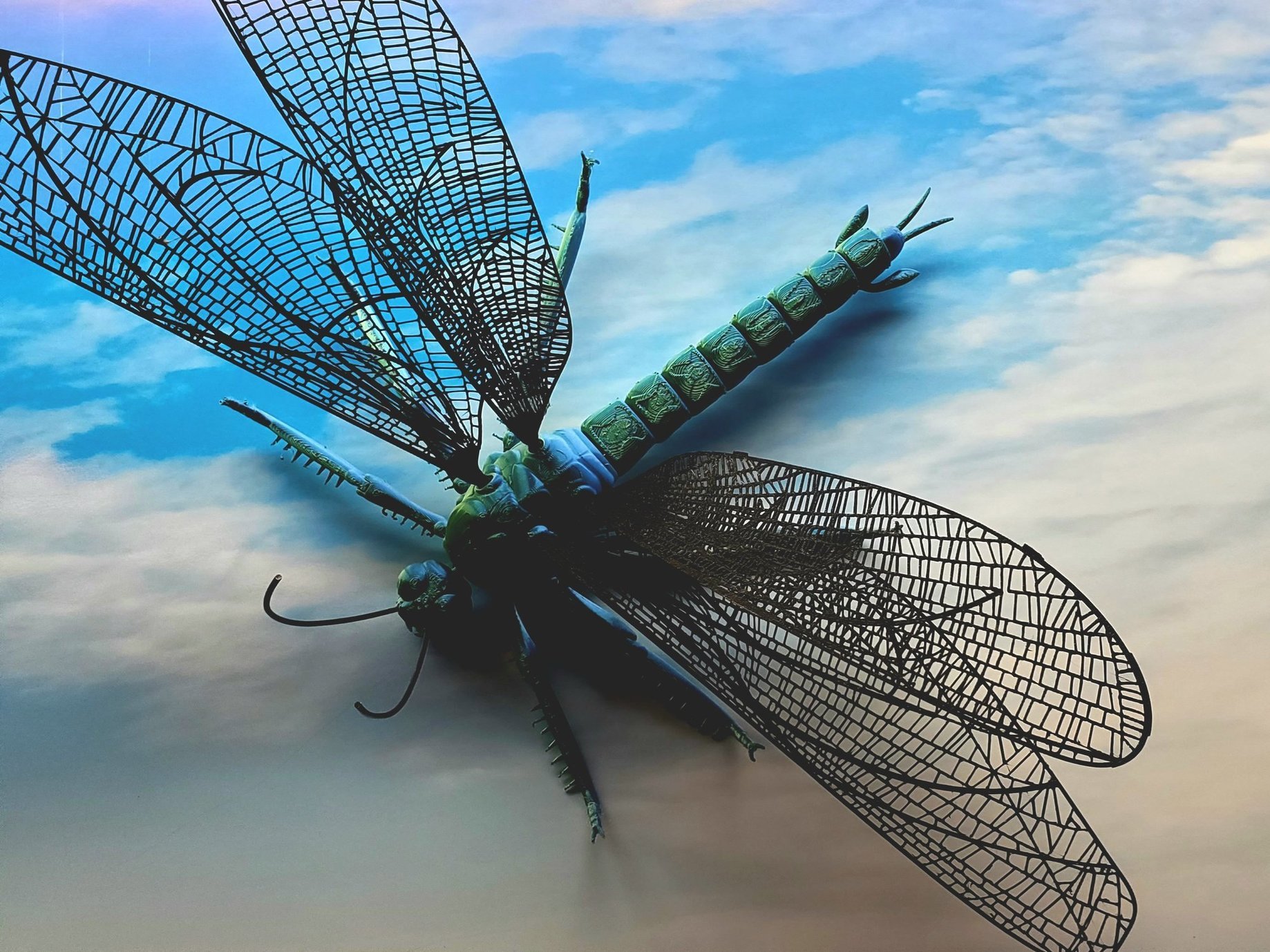 Paleontological collection dragonfly model