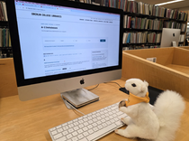 Search Tools
